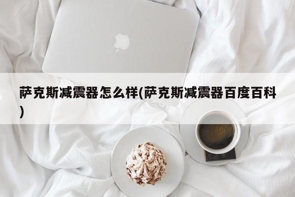 萨克斯减震器怎么样(萨克斯减震器百度百科)