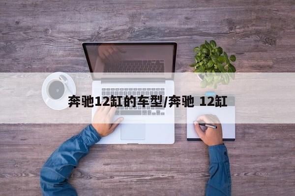 奔驰12缸的车型/奔驰 12缸