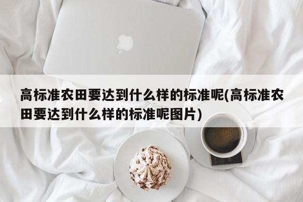 高标准农田要达到什么样的标准呢(高标准农田要达到什么样的标准呢图片)