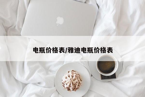 电瓶价格表/雅迪电瓶价格表