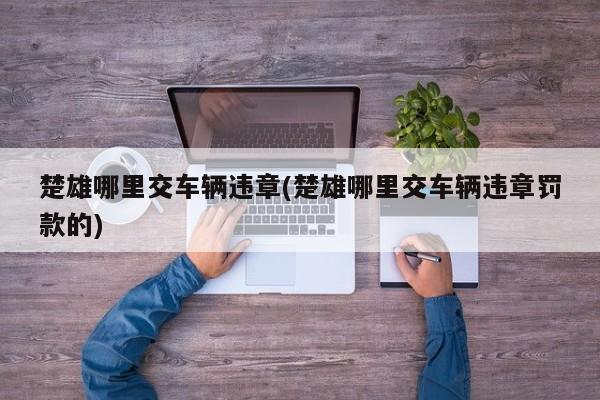 楚雄哪里交车辆违章(楚雄哪里交车辆违章罚款的)