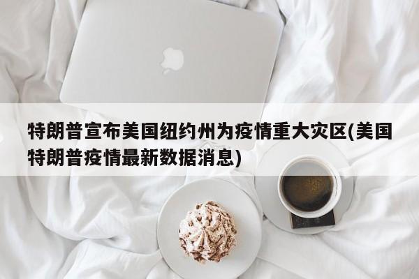 特朗普宣布美国纽约州为疫情重大灾区(美国特朗普疫情最新数据消息)