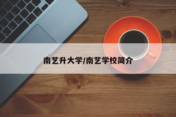 南艺升大学/南艺学校简介