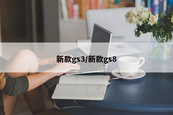 新款gs3/新款gs8