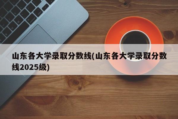 山东各大学录取分数线(山东各大学录取分数线2025级)