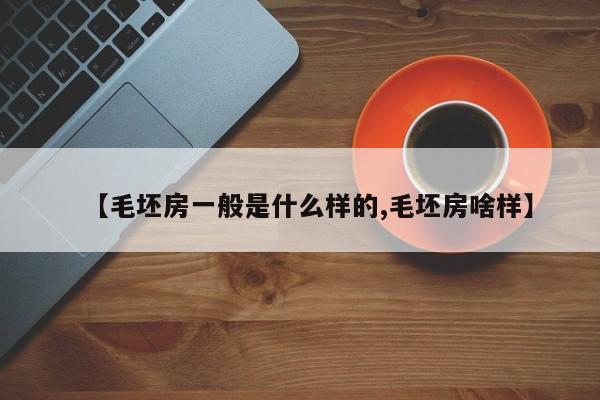 【毛坯房一般是什么样的,毛坯房啥样】