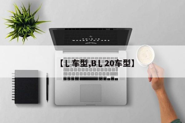 【乚车型,B乚20车型】