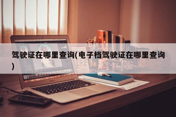 驾驶证在哪里查询(电子档驾驶证在哪里查询)