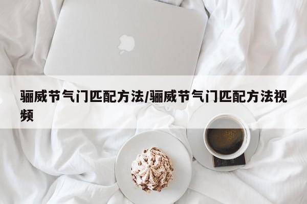 骊威节气门匹配方法/骊威节气门匹配方法视频