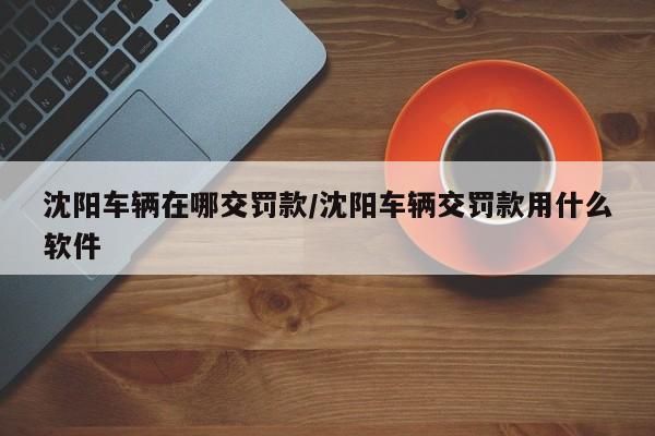 沈阳车辆在哪交罚款/沈阳车辆交罚款用什么软件