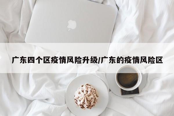 广东四个区疫情风险升级/广东的疫情风险区
