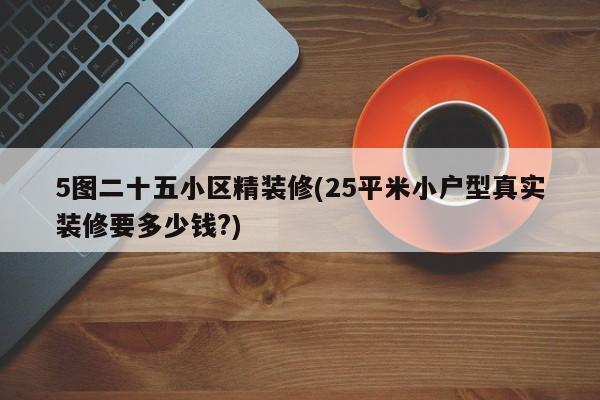 5图二十五小区精装修(25平米小户型真实装修要多少钱?)