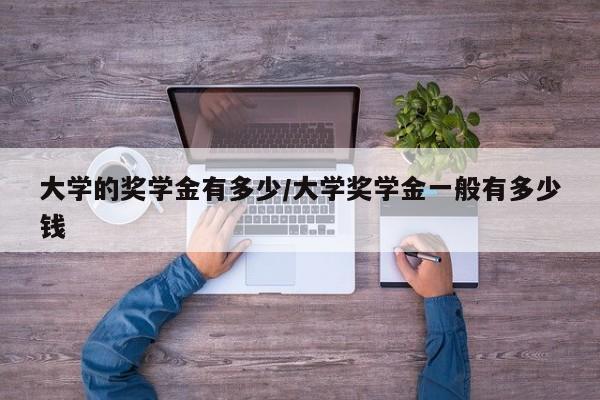 大学的奖学金有多少/大学奖学金一般有多少钱
