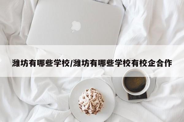 潍坊有哪些学校/潍坊有哪些学校有校企合作