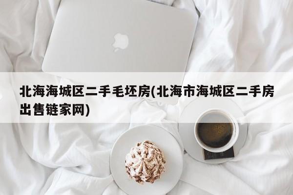 北海海城区二手毛坯房(北海市海城区二手房出售链家网)