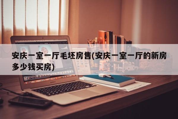 安庆一室一厅毛坯房售(安庆一室一厅的新房多少钱买房)