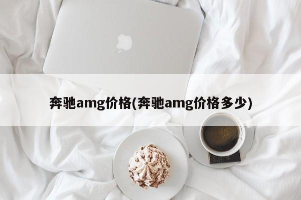 奔驰amg价格(奔驰amg价格多少)